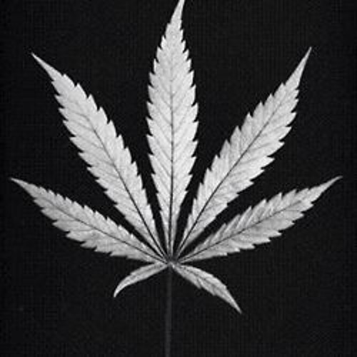 Stoner Vibes: "High Speed"