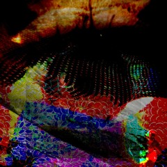 t̨̛͘͟l̸͢2̛̕v́͏̸$̶̴̡͡t̡̡̀͘͟