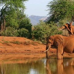 Chronicle of Chadwick