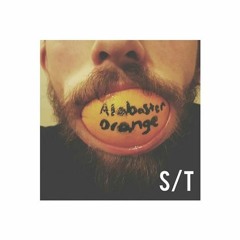 Alabaster Orange- I Got Your Number (ep version)