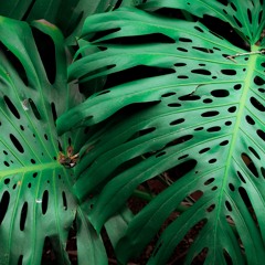 Blue In Green