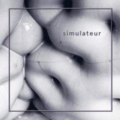 09 Euclidean Tropism