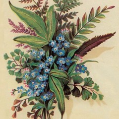 Ramillete De Nomeolvides