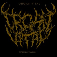 ORGAN VITAL - Tarpedo