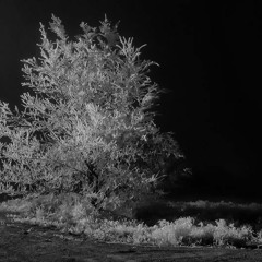 cold ft. lunar vision
