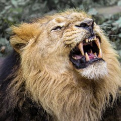 Fearless ft. Jeff Success