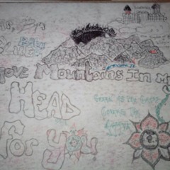 Little Wings Ft.Grumpystrings "Picture Frames"