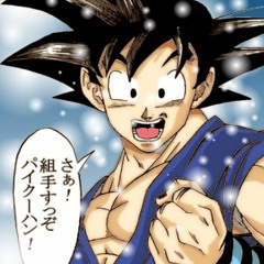 THE COLDEST FREESTYLE