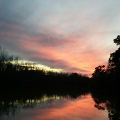 Little Wings - " Daisy " ft. Grumpystrings