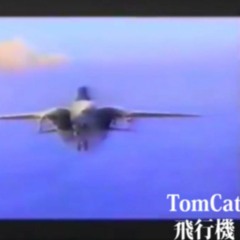 Tomcat  飛行機