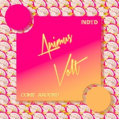 Animus Volt - Come Around (Original Mix)