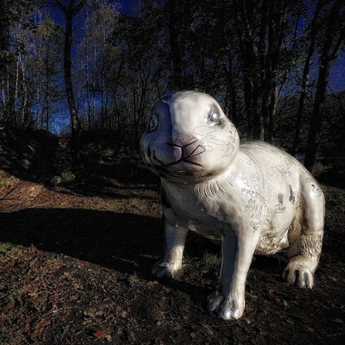 Year Of The Rabbit Mark sinclair