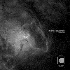Thomas Delecroix - Sliders EP On Rive Droite Records Snippet