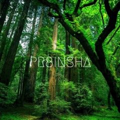 (creative imagination) pr8insha beat`s 2015