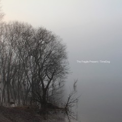 TimeDog - Conversations (from "The Fragile Present" digital release out now)