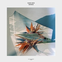 Suso Saiz - The Guardian (6:04)