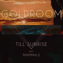 Goldroom - Till Sunrise (Attom Remix)