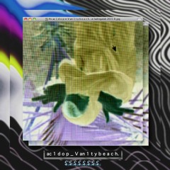 a c 1 d o p - v a n 1 t y b e a ch