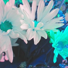 Wildflower Cover W/ Hook (Jon Waltz)