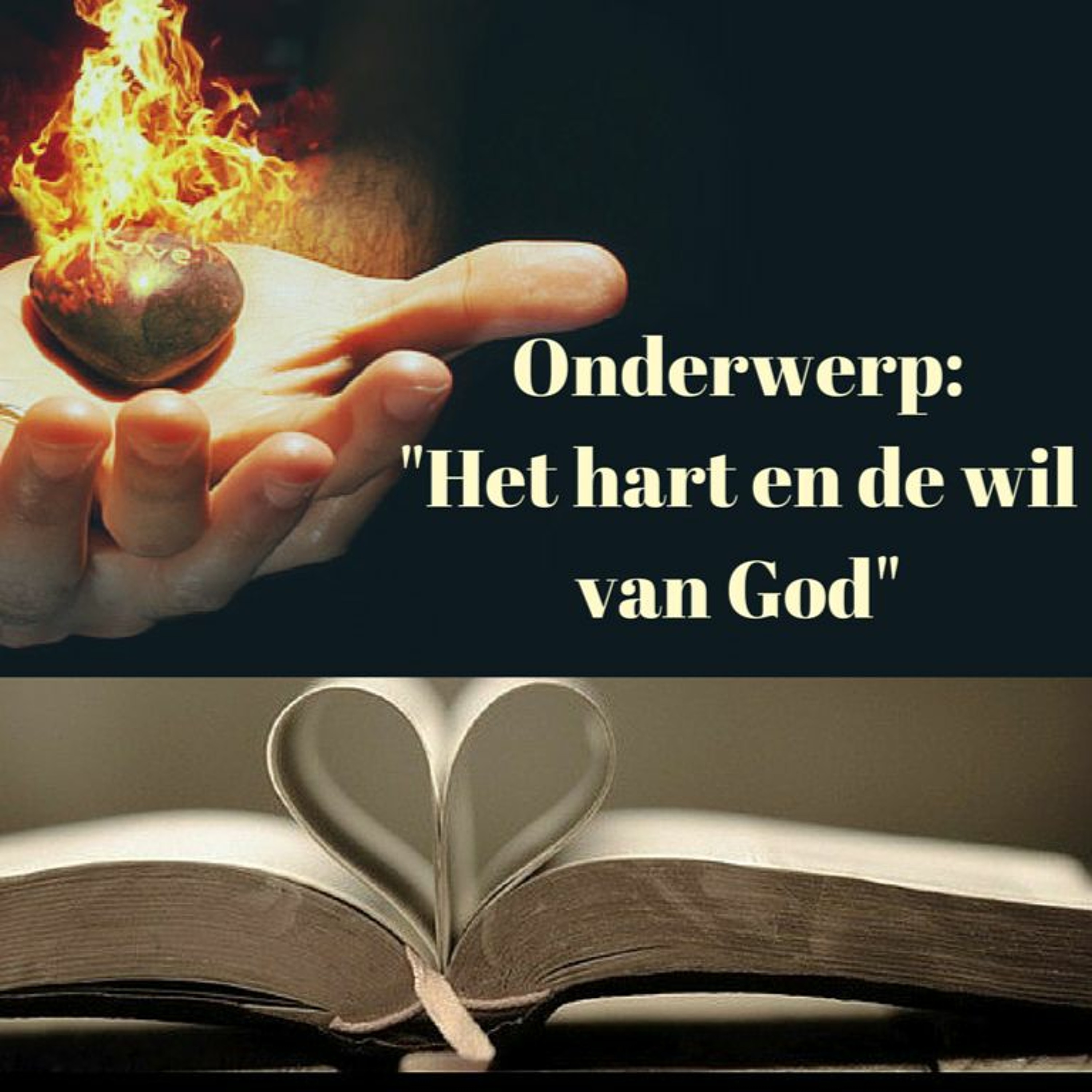 Samen Door De Bijbel