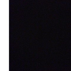 AINT DIS BOUT A BITCH