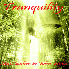 Matt Baker & John Styles - Tranquillity (read description)