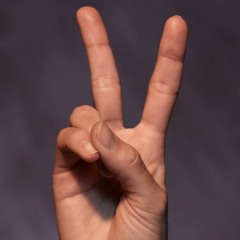 Whirlpool Productions - From Disco To Disco (Vazquez Get Down Remix)