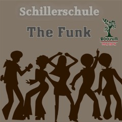 Schillerschule  - The Funk