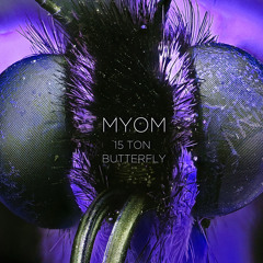 Myom - 15 Ton Butterfly [Boom Tschak#17]