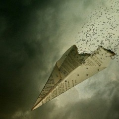 Fly
