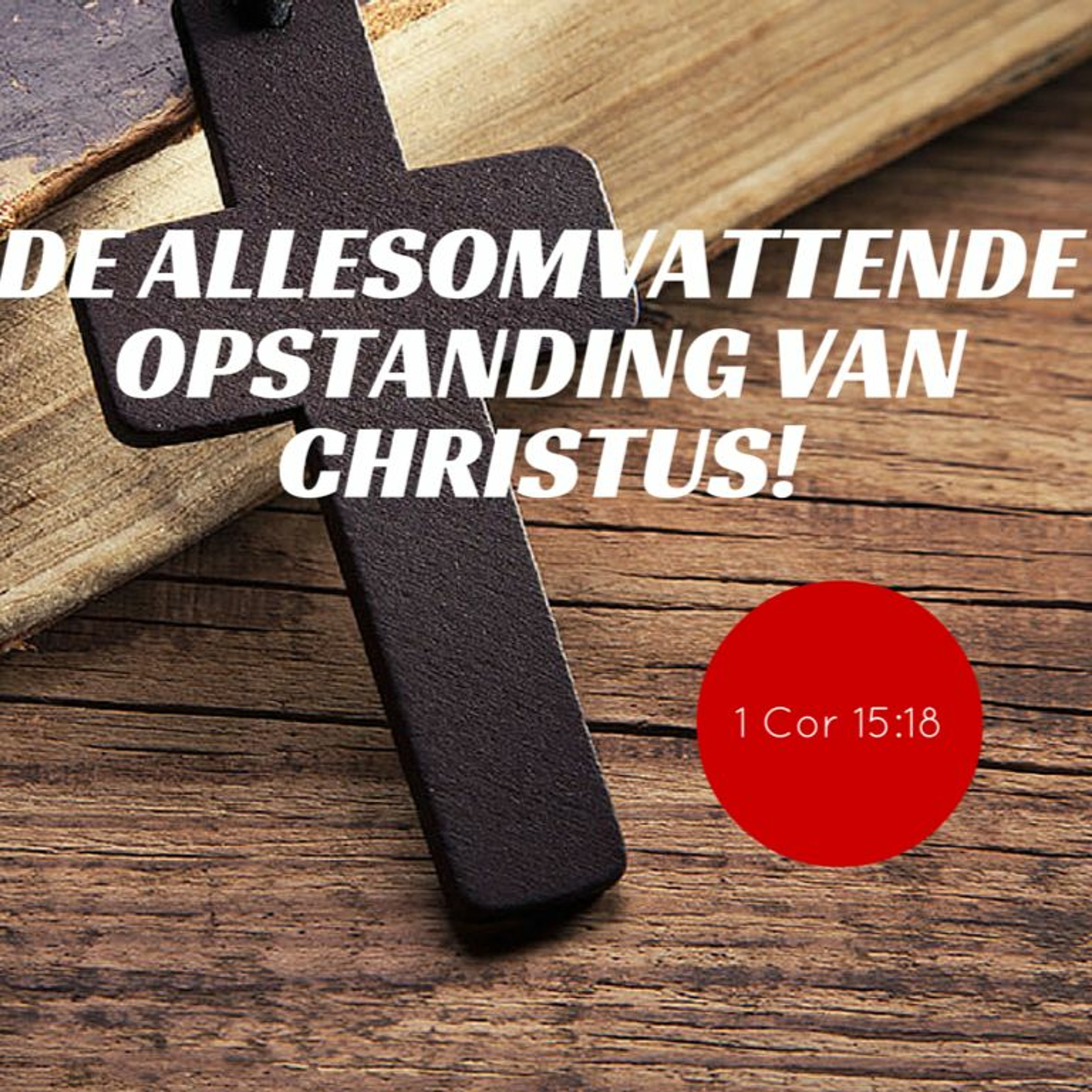 Samen Door De Bijbel