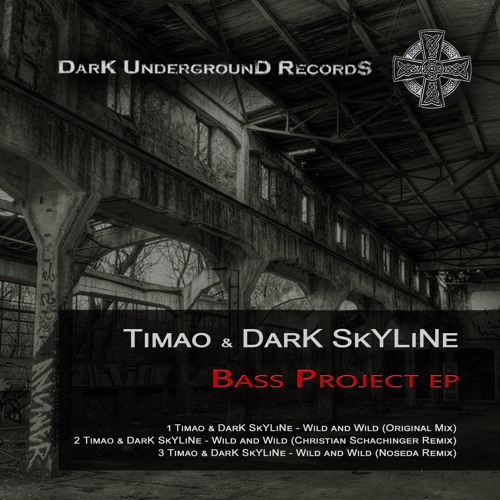 Timao & DarK SkYLiNe - Wild and Wild (Original Mix Teaser)