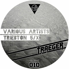 Various Artists - Triebton 5/X Album Preview (TTT010)