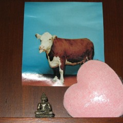 Walter und Walter (2009): Morgenspaziergang