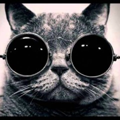 BASS REBEL Produced By LAB103