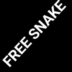 SNAKE LUCCI PSA
