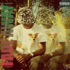 Fade Away Ft. Promise