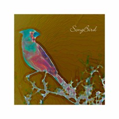 M.Fasol - SONGBIRD (Relaxing Neo Soul Instrumental)