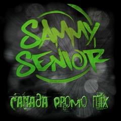 Canada Promo Mix 2016