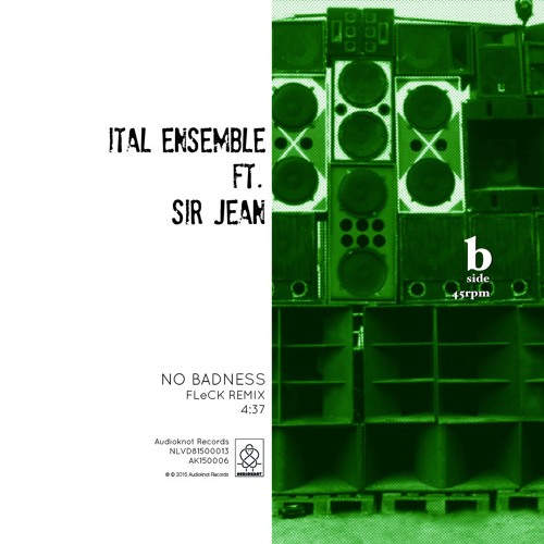 Ital Ensemble ft Sir Jean - No Badness (FleCK remix)