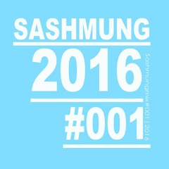Sashmung #001/2016