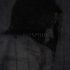 Bleib Modern - Blackened Soul