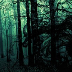 Silent Enemy - Refuse (Progressive Experience)