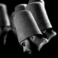 حضرة لا توصف بحضور السيد محمد علوي المالكي