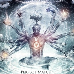 Sajanka - Perfect Match