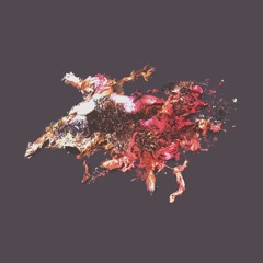 MISSY ELLIOTT - GOSSIP FOLKS [SLOTH.TOES REMIX]