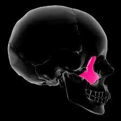 Zygomatic (Demo)
