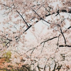 [lofi]
