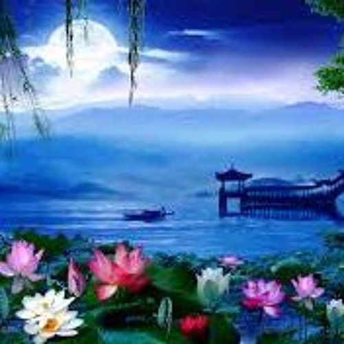 Stream Lotus Flower Pond Under The Moonlight - 荷塘月色(琵琶版) by