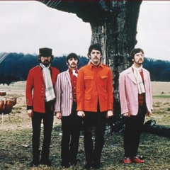 SHROOM - StrawBerry Field Forever